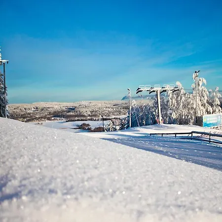 Riihilinna Ski Muurame